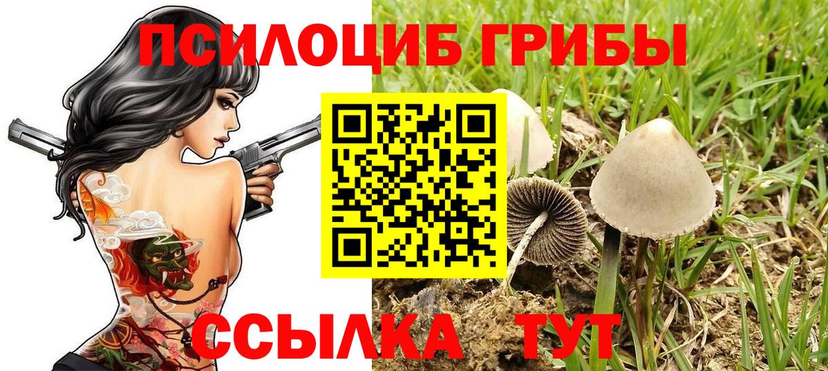 Галлюциногенные грибы мухоморы Великие Луки