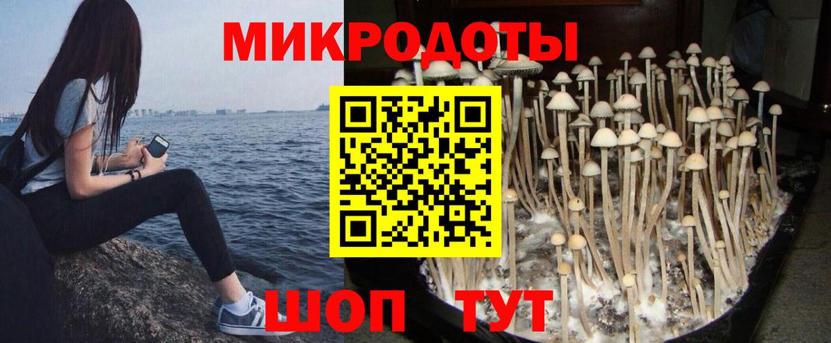 Галлюциногенные грибы MAGIC MUSHROOMS  Вход с VPN  Великие Луки 